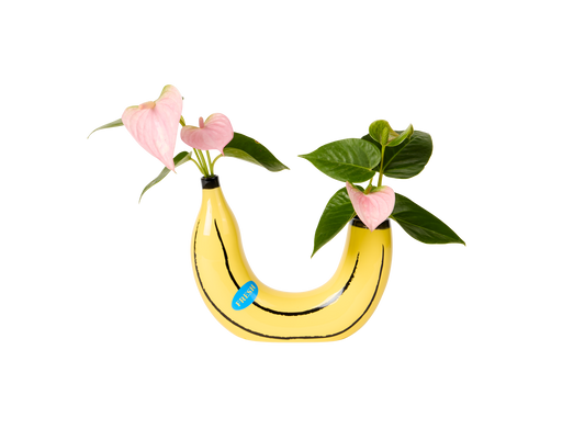 Banana Vase